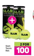 Slam Tennis Ball-For 2