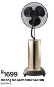 Salton Misting Fan 40cm 100W 81457446