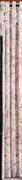 Designhouse voile Modern Eyelet Curtain 1.4m x 2.5m