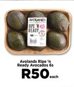 Avolands Ripe n Ready Avocados-6s Each