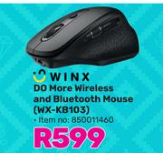 Winx Do More Wireless & Bluetooth Mouse WX-KB103