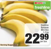 Freshline Bananas Mini Box-1.2Kg Per Box