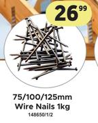 75/100/125mm Wire Nails-1Kg
