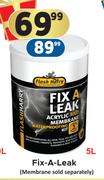Flash Harry Fix-A-Leak-5L