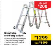 Steady Step Multi-Step Ladder 786312