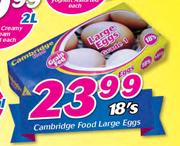 Cambridge Food Large Eggs-18's