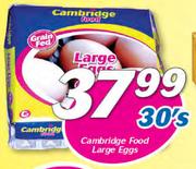 Cambridge Food Large Eggs-30's