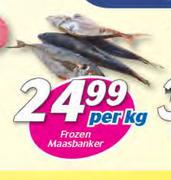 Frozen Maasbanker-Per Kg