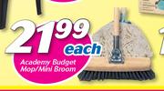 Academy Budget Mop/Mini Broom