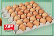 Groot Eiers-30 Per Pak