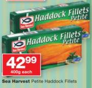 Sea Harvest Petite Haddock Fillets-400g Each
