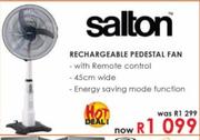 Salton Rechargeable Pedestal Fan