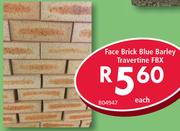 Face Brick Blue Barley Travertine FBX B04947-Each