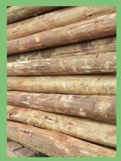  Creosote Round Pole 2.4m x 75/100 Treated T05341-Each