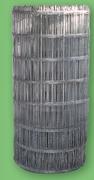 Welded Mesh Light Galvanized 100mm x 50mm x 2.5mm x 1.8m B04936-Per 30m Roll