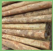 Treated Pine Round Pole 2.1m x 80/99 CCA Treated T01522-Each