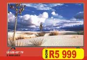 LG 43" LED TV