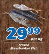 Frozen Maasbanker Fish-Per Kg