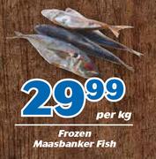 Frozen Maasbanker Fish-Per kg