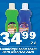 Cambridge Food Foam Bath Assorted-2Ltr Each