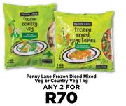 Penny Lane Frozen Diced Mixed Veg Or Country Veg-For Any 2 x 1Kg