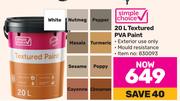 Simple Choice 20L Textured PVA Paint