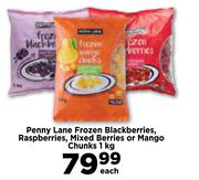 Penny Lane Frozen Blackberries, Raspberries,Mixed Berries Or Mango Chunks-1Kg Each
