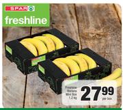 Freshline Banana Mini Box-1.2kg Per Box