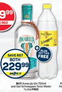 Amarula Gin 750ml Get Free Schweppes Tonic Water 1L-Both For