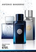 Antonio Banderas Assorted Sizes-Each