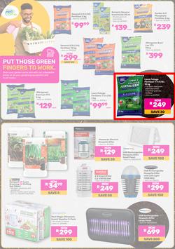 Game : All Things Gardening & Outdoor (02 September - 30 September 2025), page 6