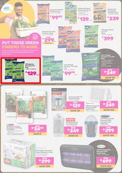 Game : All Things Gardening & Outdoor (02 September - 30 September 2025), page 6