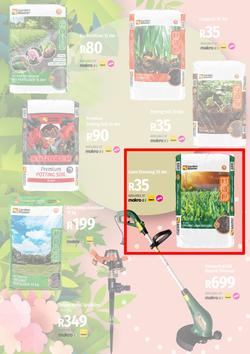 Garden Master Builders : Hello Spring (01 September - 30 October 2022), page 5