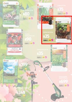 Garden Master Builders : Hello Spring (01 September - 30 October 2022), page 5