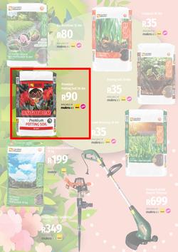 Garden Master Builders : Hello Spring (01 September - 30 October 2022), page 5