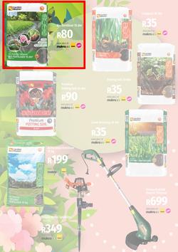 Garden Master Builders : Hello Spring (01 September - 30 October 2022), page 5