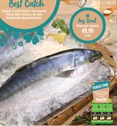 Whole Frozen Yellow Tail-Per Kg