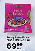 Penny Lane Frozen Mixed Berries-1kg Each