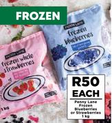 Penny Lane Frozen Blueberries Or Strawberries-1Kg Each