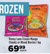 Penny Lane Frozen Mango Chunks Or Mixed Berries-1Kg Each