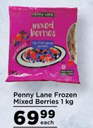 Penny Lane Frozen Mixed Berries-1Kg Each