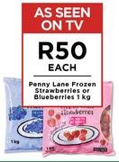 Penny Lane Frozen Strawberries Or Blueberries-1kg Each