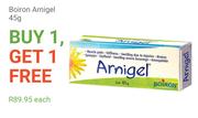 Boiron Arnigel-45g Each