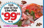 Fresh Large Ski-Boat Line Fish-Per Kg