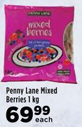 Penny Lane Mixed Berries-1Kg Each