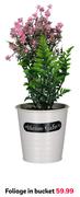 Foliage In Bucket