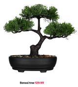 Bonsai Tree