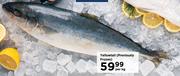 Yellowtail (Previously Frozen)-Per Kg