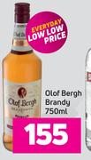 Olof Bergh Brandy-750ml