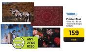Waltex Printed Mat-Each